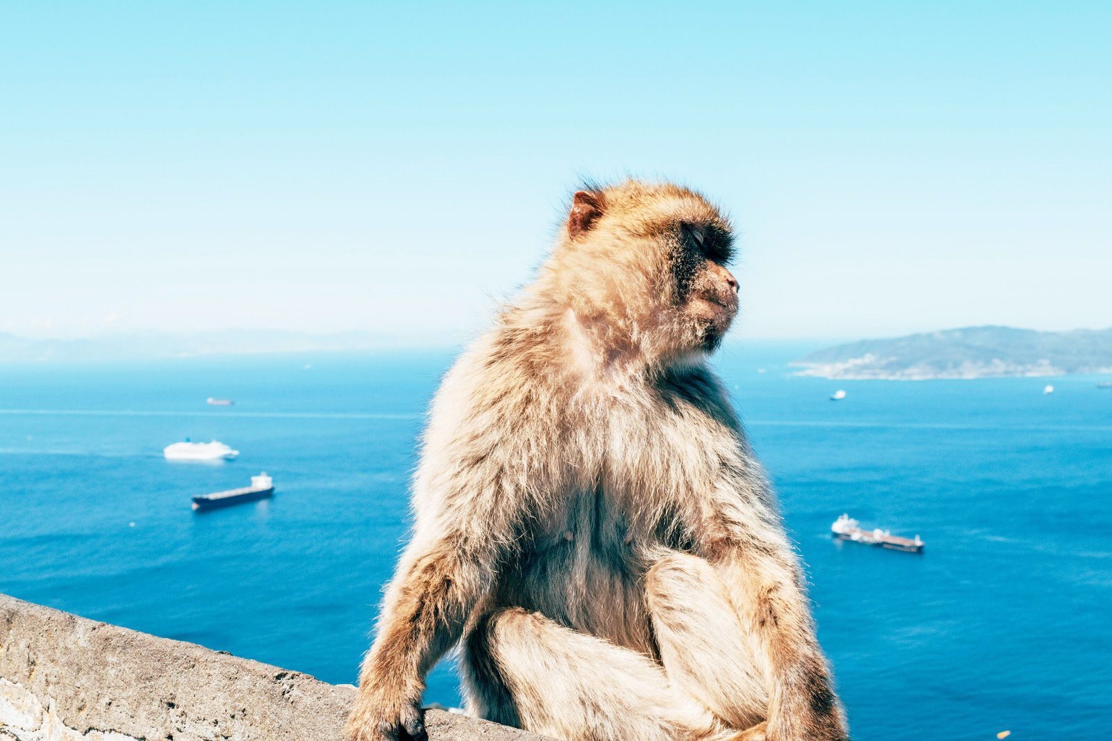 Gibraltar travel eSIM by Pirate Mobile
