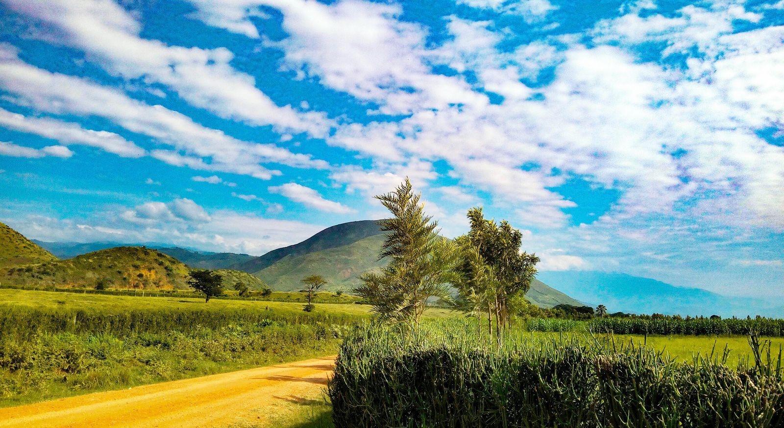 Uganda travel eSIM by Pirate Mobile