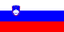 Flag of Singapore