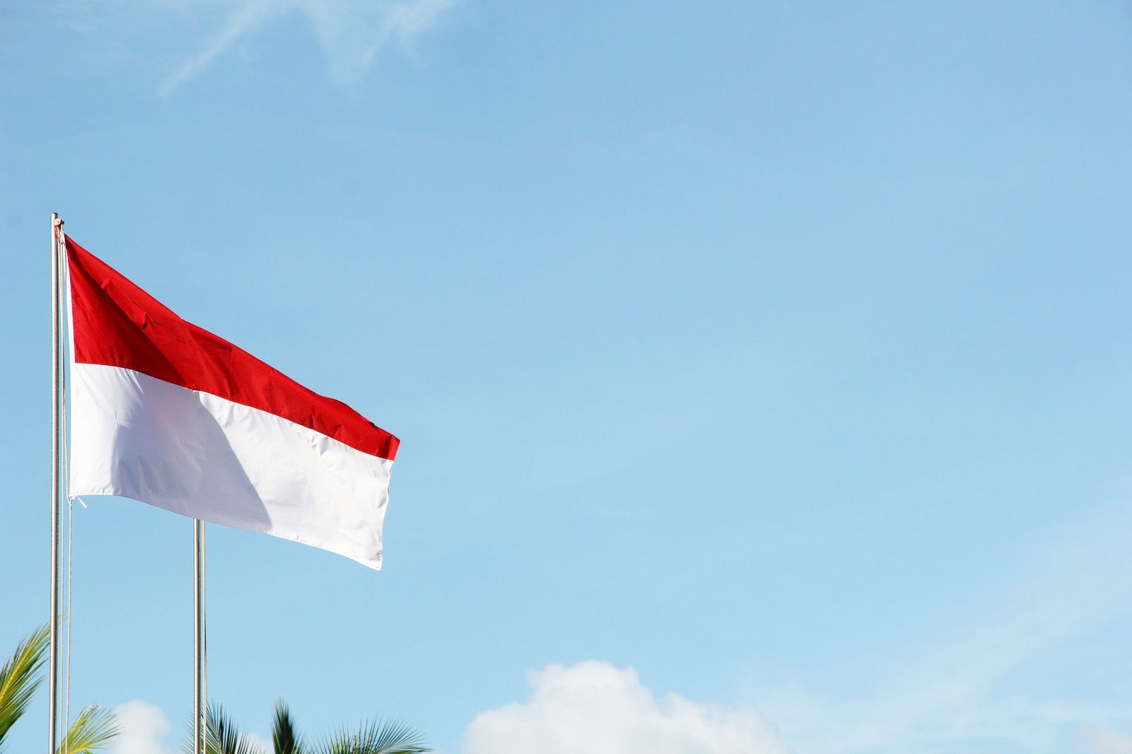 Indonesia travel eSIM by Pirate Mobile