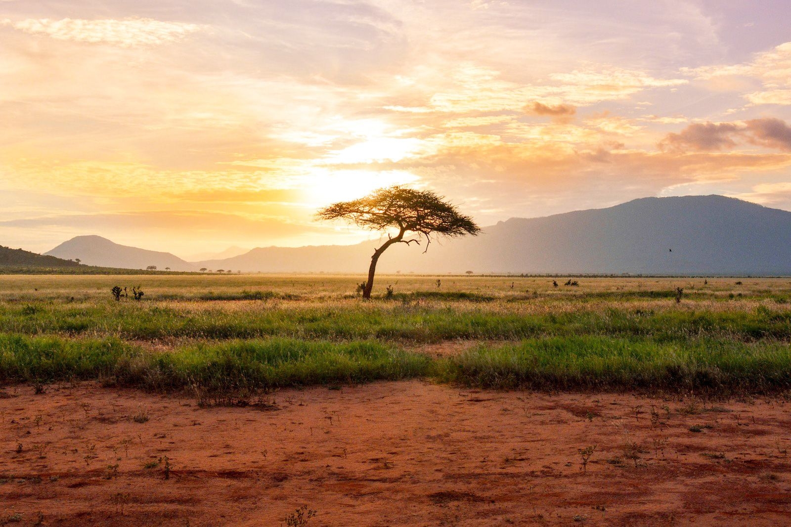 Kenya travel eSIM by Pirate Mobile