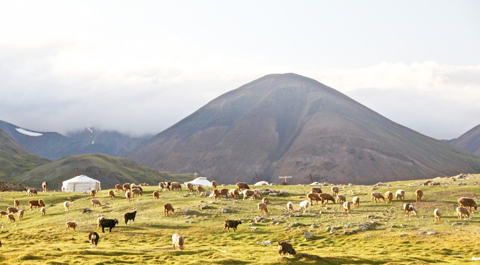 Mongolia travel eSIM by Pirate Mobile