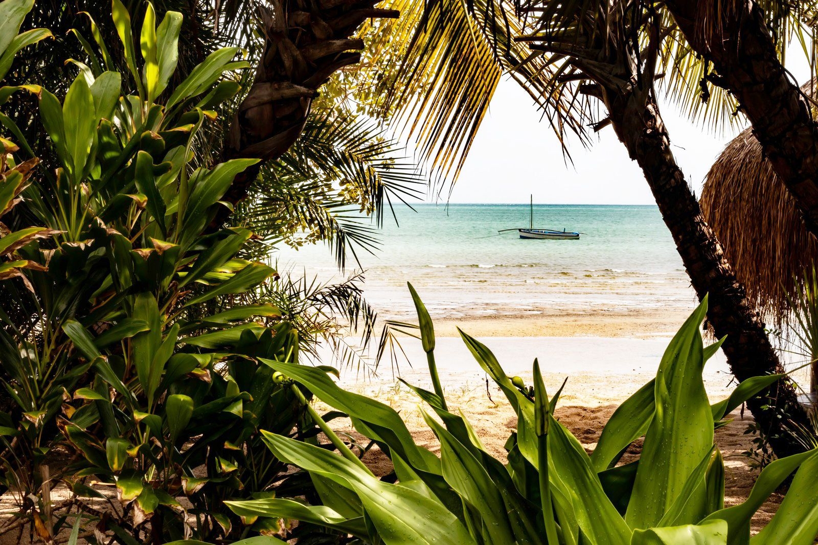 Mozambique travel eSIM by Pirate Mobile
